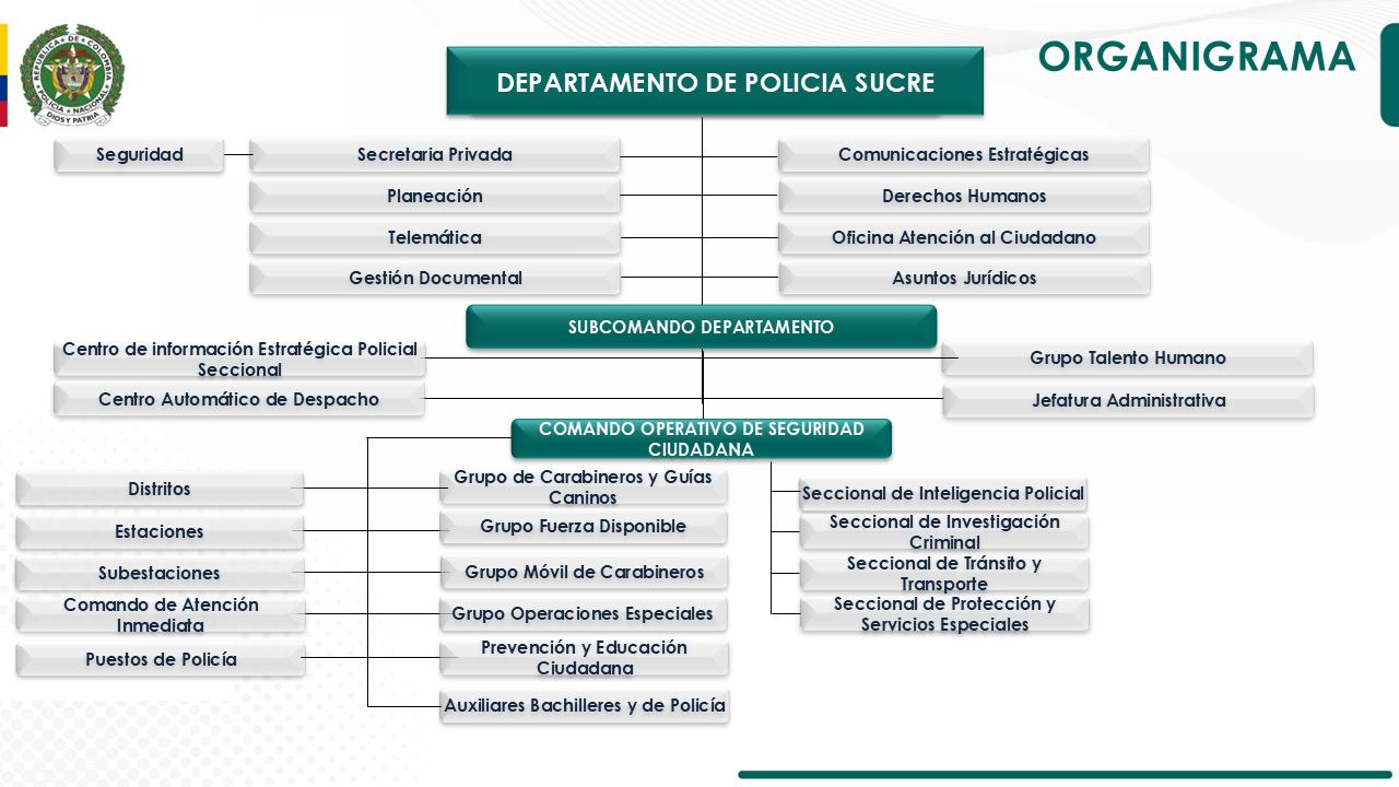 ORGANIGRAMA DESUC 