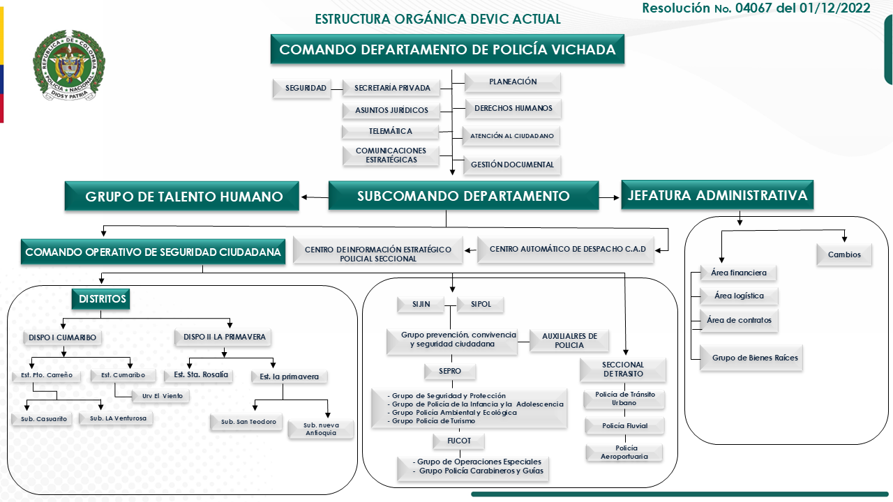 Organigrama DEVIC