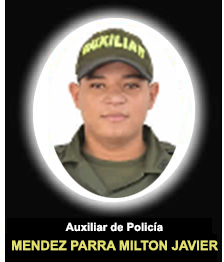 AP. Mendez Parra Milton