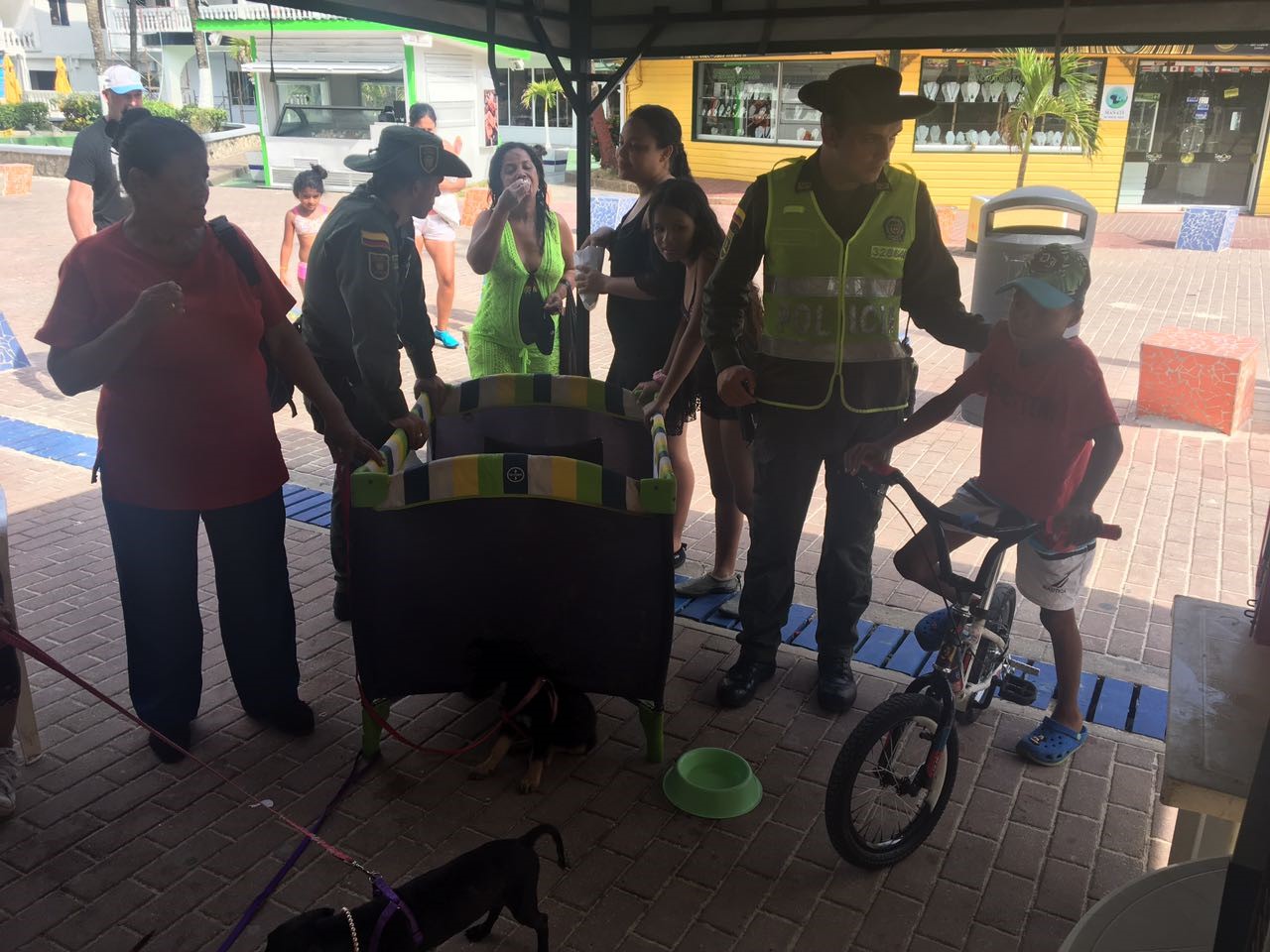 Policía Nacional lidera campaña en pro de la adopción de caninos y felinos
