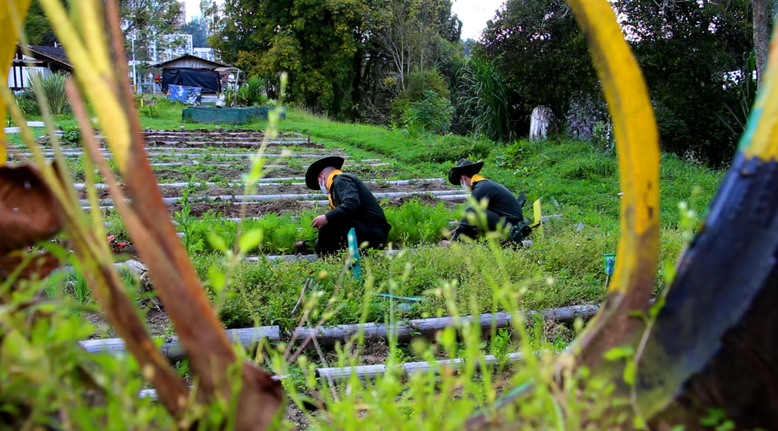 Escuela de Carabineros Alejandro Gutiérrez 