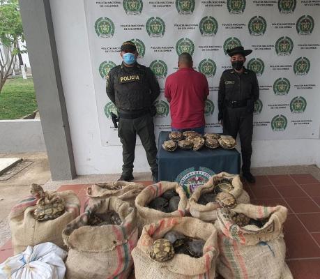 En Bolívar: Intensificamos operativos para evitar caza de hicoteas a víspera de la Semana Mayor