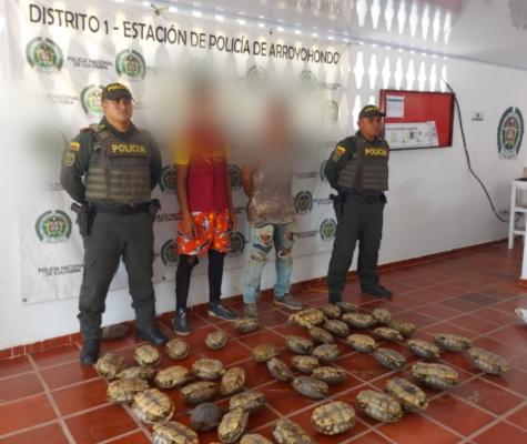 En Bolívar: Intensificamos operativos para evitar caza de hicoteas a víspera de la Semana Mayor