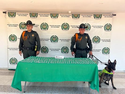 Canino halló 245 dosis de Marihuana 