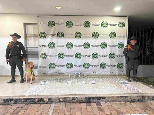 Incautan droga abandonada gracias a guías caninos en Bucaramanga