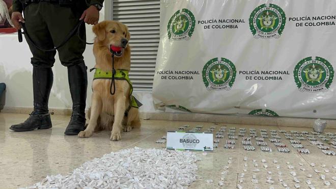 Guías caninos hallaron más de 4.000 gramos de sustancias ilícitas abandonadas en el barrio Claveriano, listas para distribución.