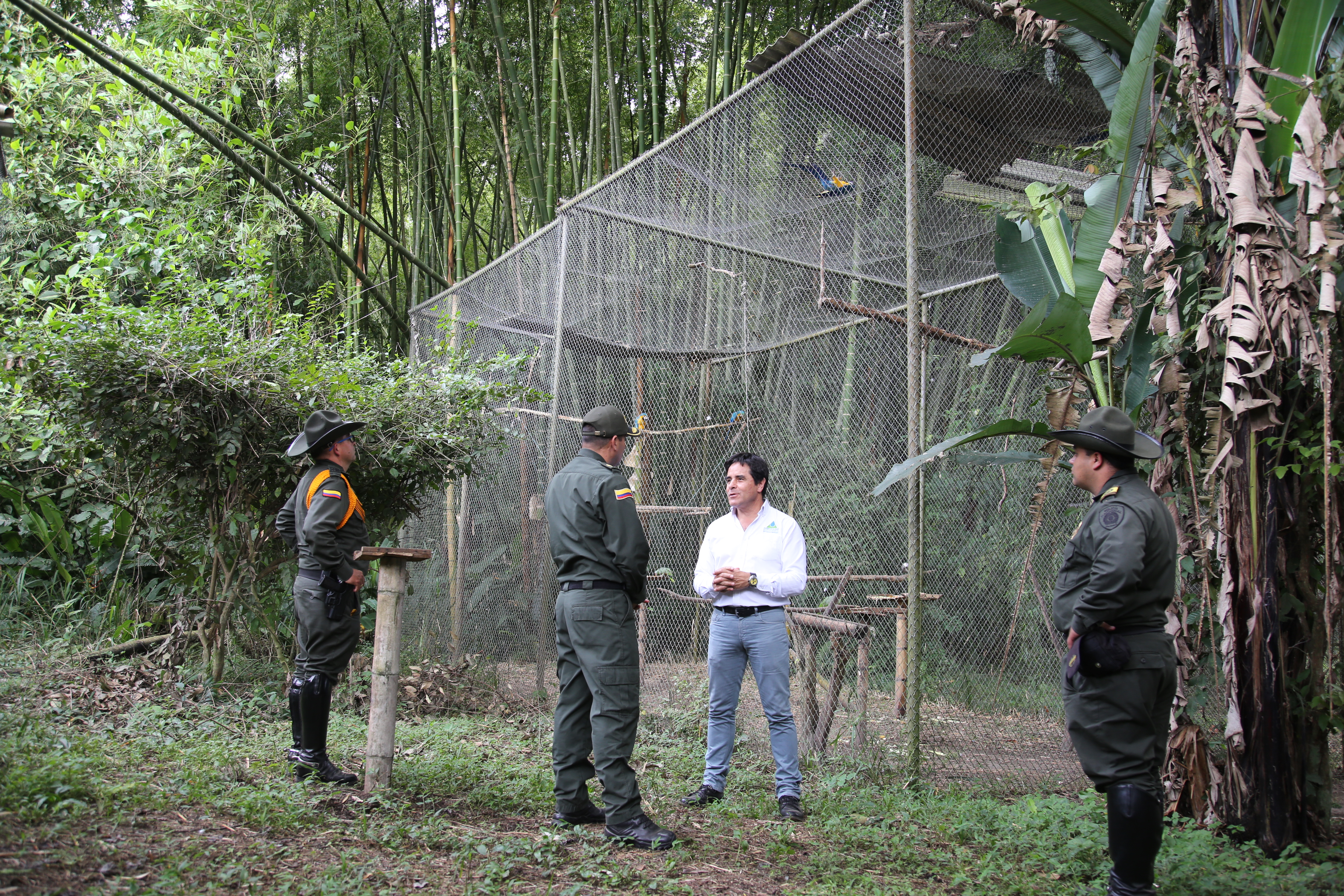 proceso_de_recuperacion_fauna