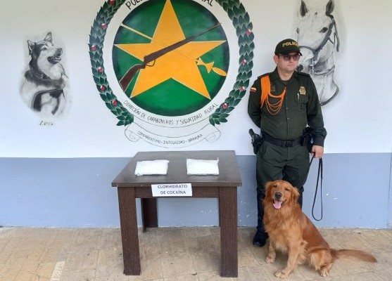 Trabajando de acuerdo al trinomio de la seguridad, se brindan importantes resultados.    