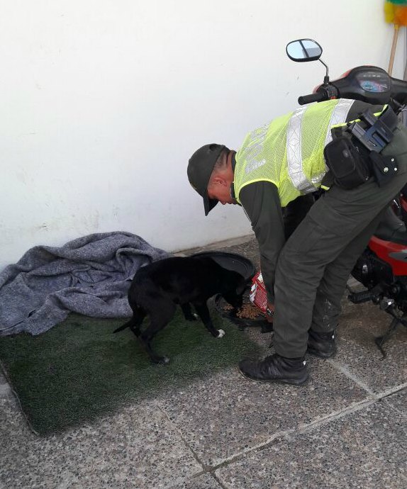 Valeroso-rescate-de-mascota-atrapada-en-alcantarilla-3