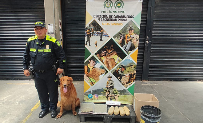 El alucinógeno estaba oculto en una caja de cartón y provenía de la ciudad de Soacha (Cundinamarca)