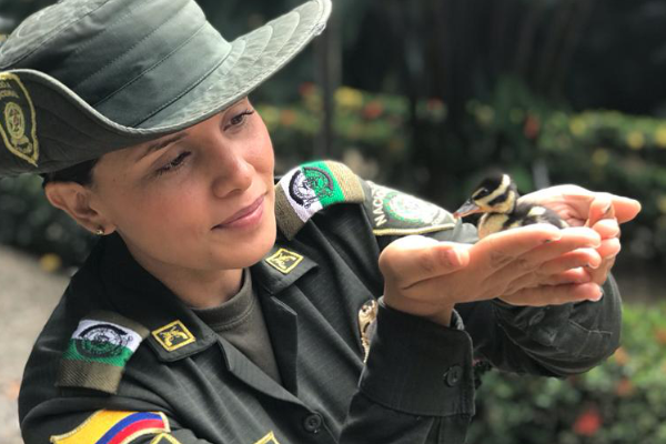 Polica ambiental con pisingos 