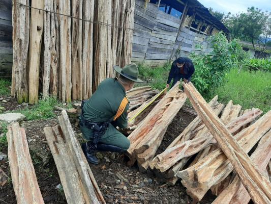 31 Metros cúbicos de madera fueron incautados por la Policía
