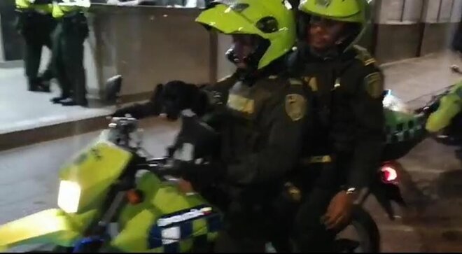 Fue adoptado y lo llaman Rocky