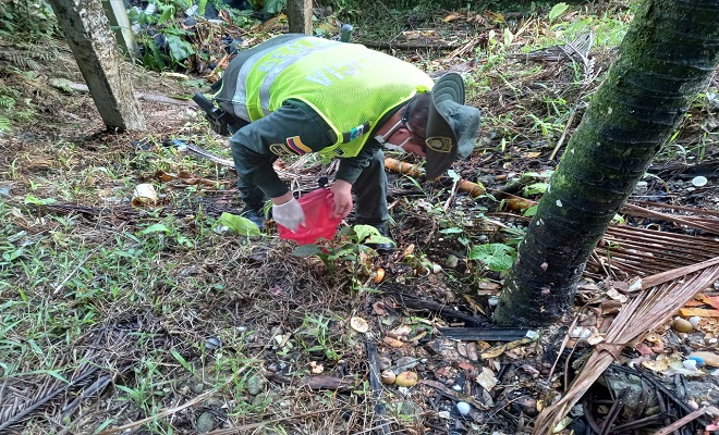 32 kilos de caracol gigante fueron hallados en barrio los castillos de Quibdó