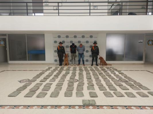 se pretendía enviar alcaloide por via terrestre