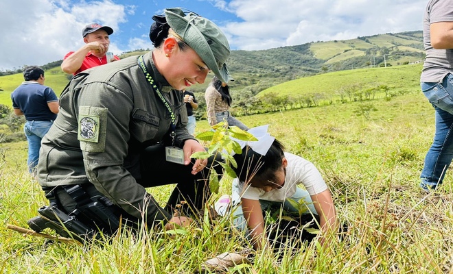 Actividades ambientales