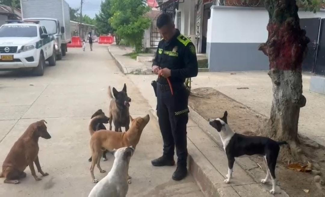Sus primeros amigos de cuatro patas en Maríalabaja fueron Vegeta, Mono y Manchas