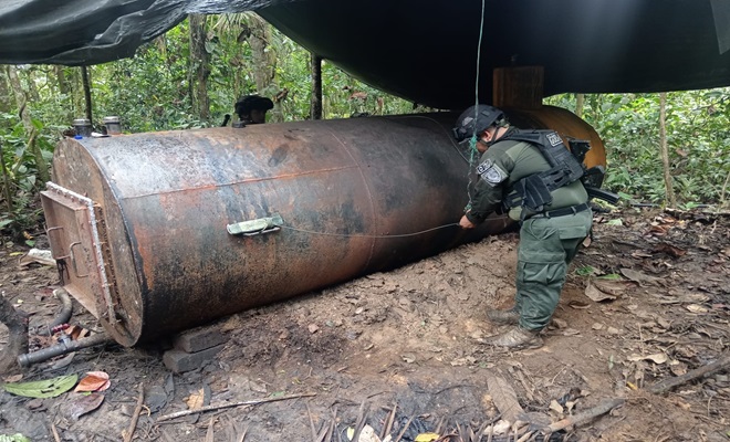 Estas actividades ilícitas generaban más de 270 millones de pesos mensuales.