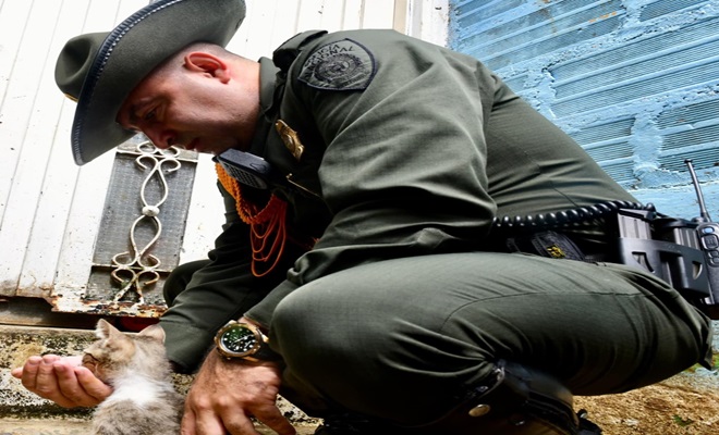 Alimento para seres sintientes