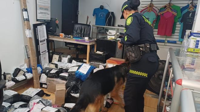 El canino Balton, olfatea encomienda ilícita en Chinchiná