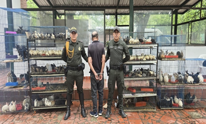 Más de 400 animales en pésimas condiciones fueron rescatados