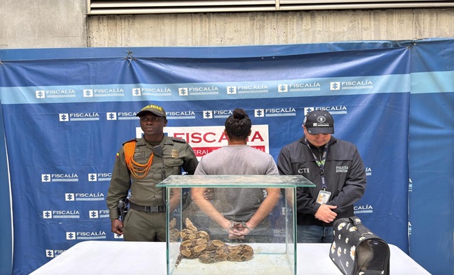 Capturado en Medellín un hombre por aprovechamiento ilícito de recursos naturales renovables