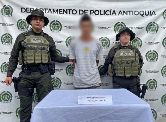 Capturado en Segovia Hombre de 22 años por  maltrato animal.  