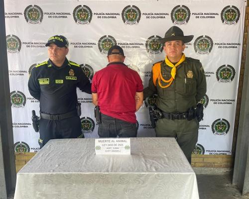 dejado_a_disposicion_de_autoridad_competente