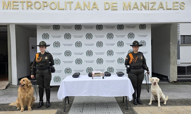 Carabineros detectó más de tres kilos de marihuana en el Terminal