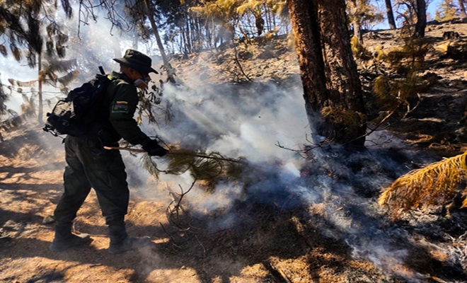 Policía Nacional refuerza sus capacidades para combatir incendios forestales en Colombia
