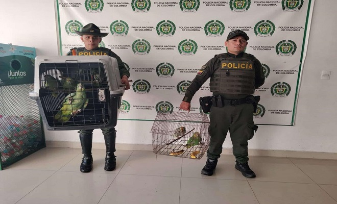 Carabineros de la Policía Tolima con su grupo control a la biodiversidad y protección animal comprometidos con la protección de la fauna silvestres