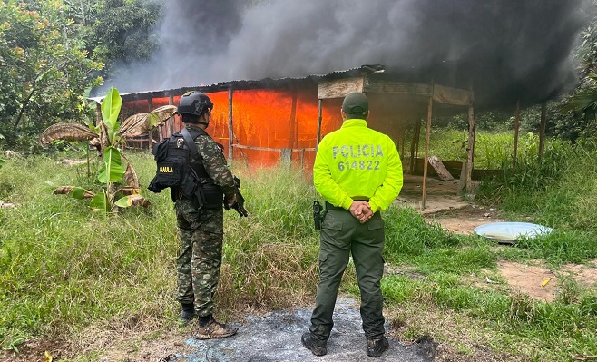 Destrucción de laboratorio de coca