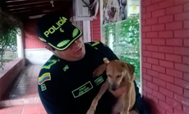 Un polic&iacute;a rescat&oacute; a un canino de nombre "Doki".