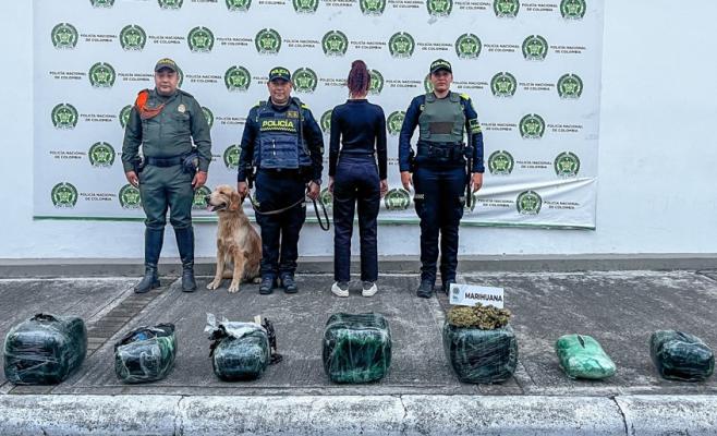 En la terminal de transportes de Ibagué, la Policía capturó a una mujer con 35 kilos de marihuana.