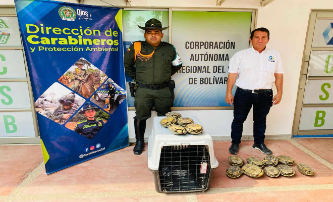 Estas dos personas fueron dejadas a disposición de la autoridad competente por el delito de Aprovechamiento Ilícito de los Recursos Naturales Renovables (1)