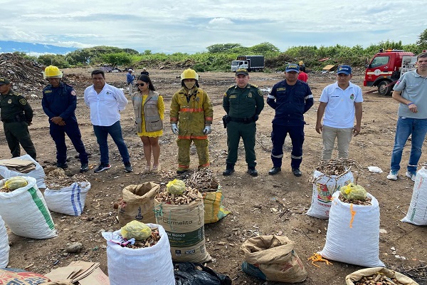 Incautado y destruido material pirotécnico ilegal 