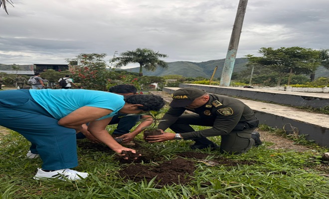 Generando entornos saludables.