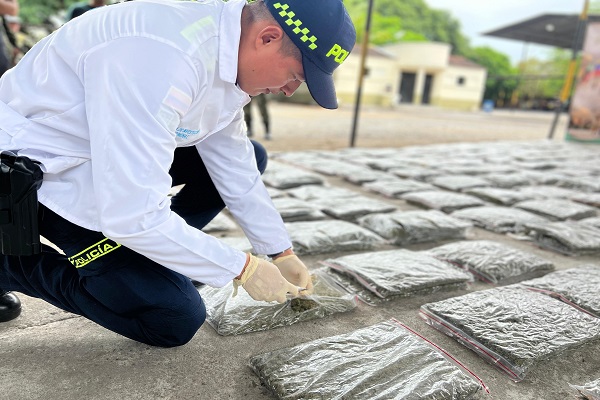 Acción conjunta permitió interceptar un cargamento avaluado en más de 594 millones de pesos.