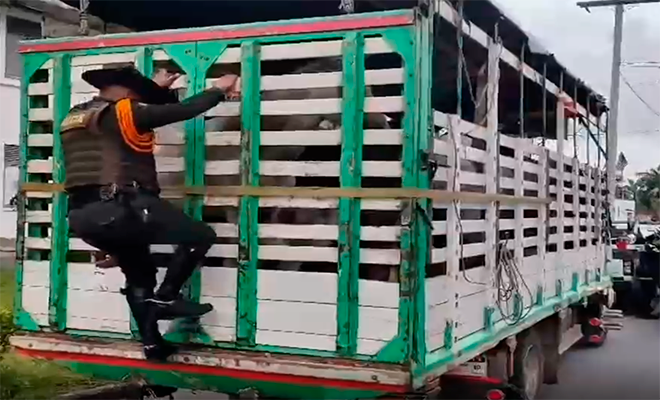 Un Policía subiendo a un camión