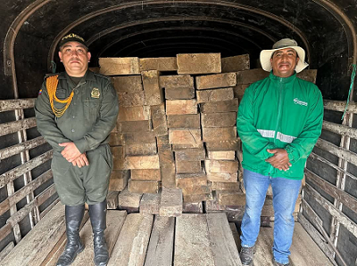Más de 30 metros cúbicos fueron incautados por la Policía Ambiental