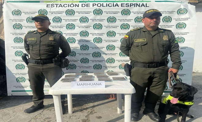 Se les cayó la encomienda de estupefacientes 