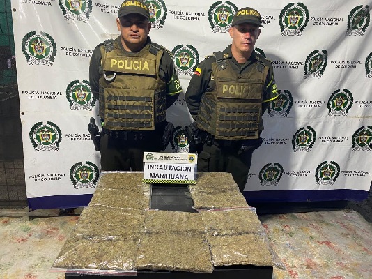 Incautación del estupefaciente transportado en la modalidad de encomienda