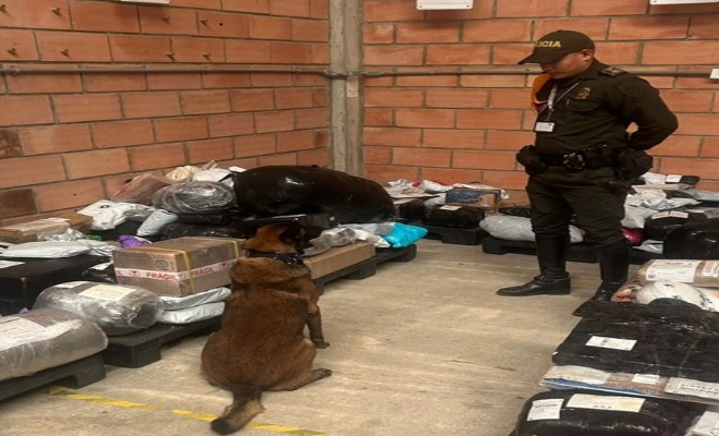 incautacion de estupefacientes por parte de la SECAR 