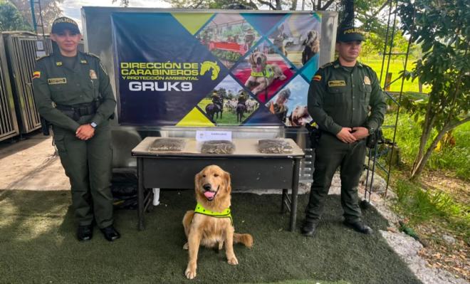 El canino ‘Jeffry’ encontró tres kilos de estupefacientes
