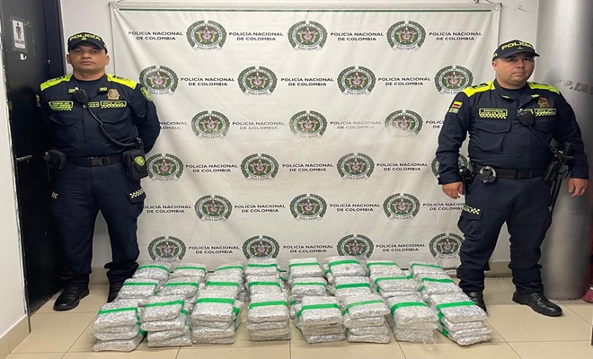 Incautados 48.000 gramos de marihuana