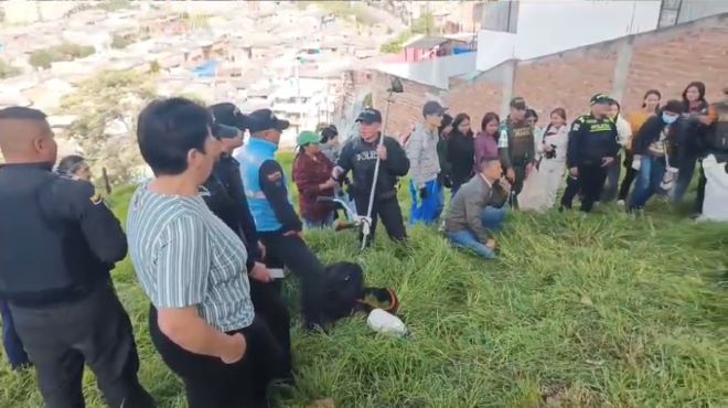 limpieza y embellecimiento del área