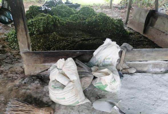 La Policía Nacional logró el hallazgo 15 infraestructuras que era utilizadas para el procesamiento de narcóticos