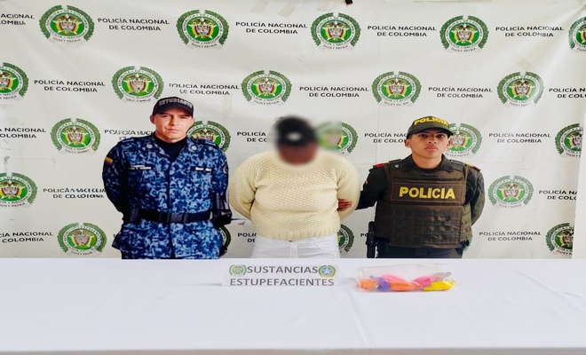 Capturada intentando burlar controles penitenciarios 