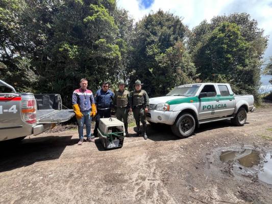 Rescatan tigrillo en Nariño