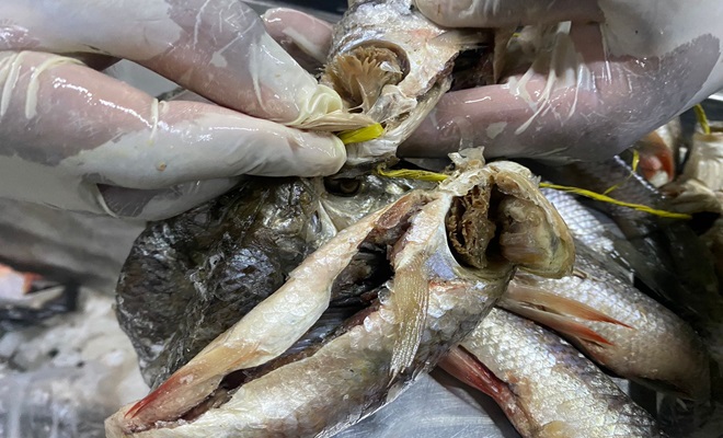 En controles a productos hidrobiológicos en el centro del Distrito de Medellín se incautaron más de 250 kilos de pescado. 